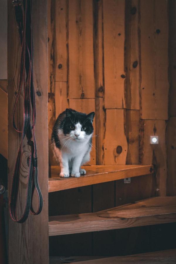 Samblatalu Homestay Laulasmaa Esterno foto