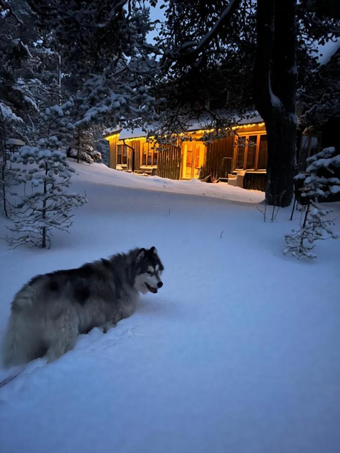 Samblatalu Homestay Laulasmaa Esterno foto
